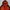 Outdoor Jacket Elfama Mountain Wear  photo 4