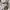 Kapital Kountry Luxury Avant Garde Hoody Pria white photo 4