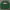 Tommy Hilfiger Streetwear Sweatshirt Pria green photo 1