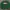 Tommy Hilfiger Streetwear Sweatshirt Pria Green