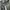 Baggy Jeans Highwaist Jiniso 