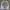 Jersey under armour fitted long sleeve photo 2