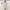 Fairycore Cream Asymmetrical Lace Ribbon Skirt | Mori Kei Co