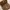 Tory Burch Casual Handbag Wanita brown photo 4