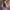 Coquette Casual Cardigan Wanita purple photo 1