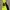 Nike Gorpcore Track Jacket Pria Black Yellow