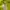 Nike Gorpcore Track jacket Pria black yellow photo 5