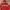 Nike Gorpcore Windbreaker Pria white red photo 3