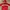 Nike Gorpcore Windbreaker Pria White Red