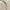 Carhartt Streetwear Y2K Pria cream photo 4