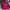 MLB CARDINAL VARSITY