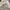 Columbia Gorpcore Sportswear Short Pria cream photo 5
