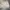 Columbia Gorpcore Sportswear Short Pria cream photo 2