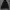 Pullover Hoodie Adidas photo 3