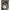 SORRIDERE|Korean Basic Cardigan Brown Oneck photo 2