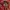 Jersey AC milan 2012/13 home photo 2