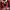 Jersey AC milan 2012/13 home photo 4