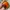 Rayban Aviator sunglasses orange photo 6