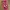 Lotso Case Iphone 13 Peo Max