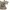 Y2K Off Shoulder Features Oversize Pattern photo 4