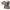 Y2K Off Shoulder Features Oversize Pattern photo 3