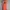 Camelbak Sportswear Casual Bag Pria red orange photo 1