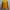 Sweater Mustard