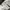 Nike True MLB Cinninnati Snapback Hat photo 6