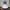 Lolita Cosplay Other Wanita White