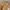 Carhartt Vintage Streetwear Pria Multicolor