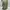 The North Face Sportswear Casual Bag Pria green photo 1