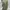 The North Face Sportswear Casual Bag Pria Green