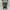 The North Face Sportswear Casual Bag Pria green photo 8