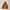 Outdoor Jacket Westwood Gorpcore 