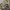Modern Amusement Camouflage Gorpcore photo 6