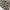 Modern Amusement Camouflage Gorpcore photo 7
