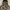 Modern Amusement Camouflage Gorpcore photo 4