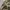 Modern Amusement Camouflage Gorpcore photo 5
