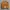 Carhartt Vintage Streetwear Hat Pria multicolor photo 1