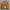 Carhartt Vintage Streetwear Hat Pria Multicolor