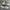 Adidas Superstar Label Collage FV2819 ORIGINAL ( Size 42 ) photo 4