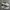 Adidas Superstar Label Collage FV2819 ORIGINAL ( Size 42 ) photo 3