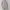 Japanese brand Luxury Sweater Wanita pink photo 1
