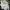 Nike Tech Fleece Grey Side Pocket One Set