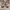 Converse Chuck Taylor All Star x The Offspring High UK8 photo 6