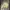 GAP Vintage Harrington jacket Pria cream photo 1