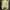 GAP Vintage Harrington jacket Pria cream photo 2
