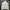 Nike Tech Fleece White Milk Side Pocket 