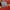 Nike Casual Kids red black photo 5