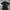 Poem Snake Y2k Gothic Punk Grunge Emo Poloshirt 